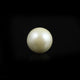 Pearl (Moti) - 10.8 Carat - Pramogh