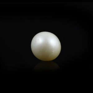 Pearl (Moti) - 9.9 Carat - Pramogh