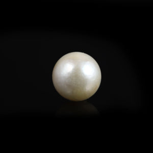 Pearl (Moti) - 9.1 Carat - Pramogh