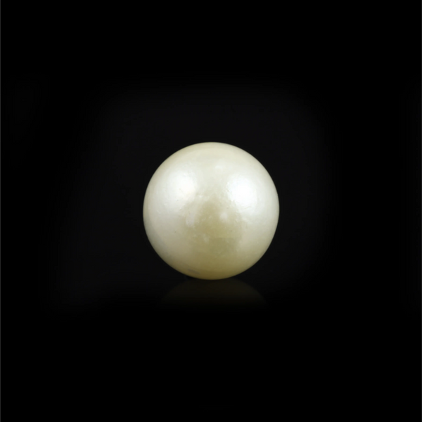 Pearl - 9.5 Carat