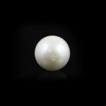 Pearl - 8.15 Carat