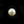 Load image into Gallery viewer, Pearl (Moti) - 7.05 Carat - Pramogh
