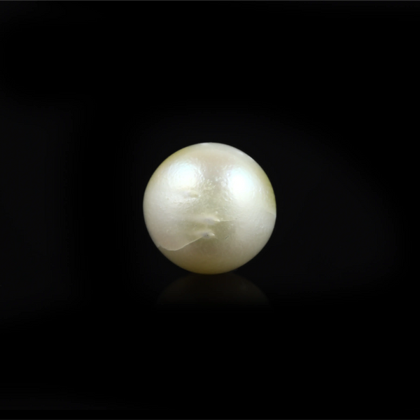 Pearl - 7.05 Carat