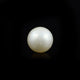 Pearl (Moti) - 9.8 Carat - Pramogh