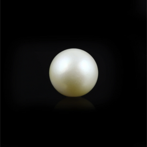 Pearl (Moti) - 8.7 Carat - Pramogh