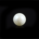 Pearl (Moti) - 7.25 Carat - Pramogh