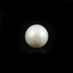 Pearl - 9.5 Carat