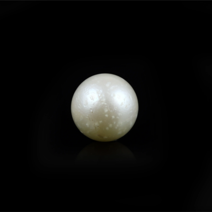 Pearl - 10.55 Carat