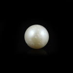 Pearl - 9.8 Carat
