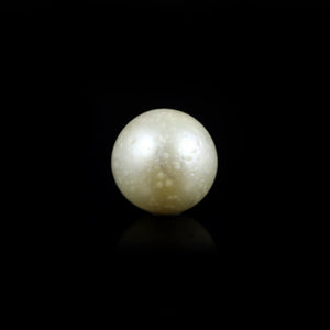 Pearl (Moti) - 10.1 Carat - Pramogh