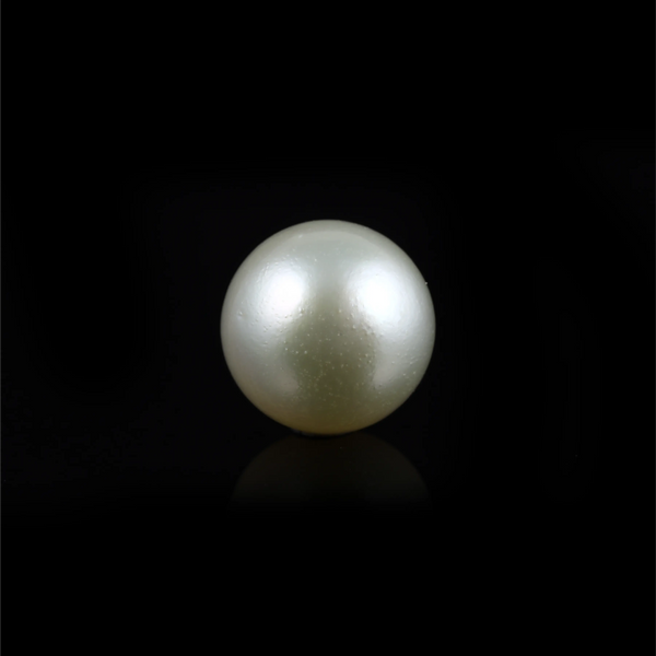 Pearl (Moti) - 16.75 Carat - Pramogh