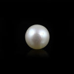 Pearl (Moti) - 11.55 Carat - Pramogh
