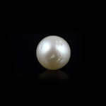 Pearl - 11.55 Carat