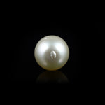 Pearl - 15.9 Carat