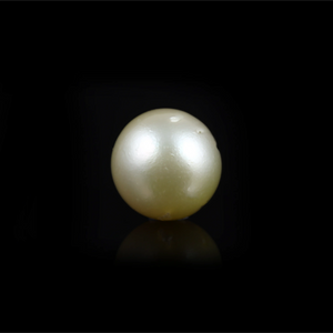 Pearl (Moti) - 13 Carat - Pramogh