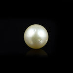 Pearl (Moti) - 9.5 Carat - Pramogh
