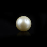 Pearl (Moti) - 12 Carat - Pramogh