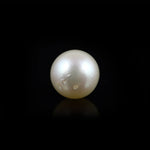 Pearl - 11.55 Carat