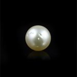 Pearl (Moti) - 14.3 Carat - Pramogh