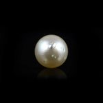 Pearl - 14.3 Carat