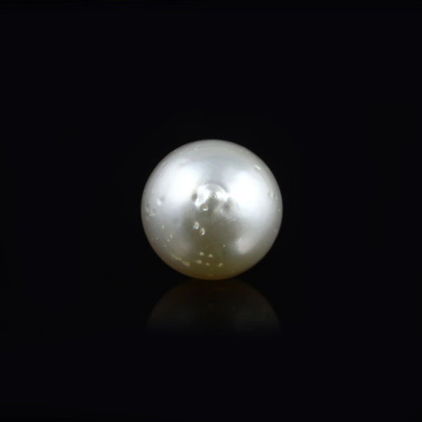 Pearl - 13.55 Carat