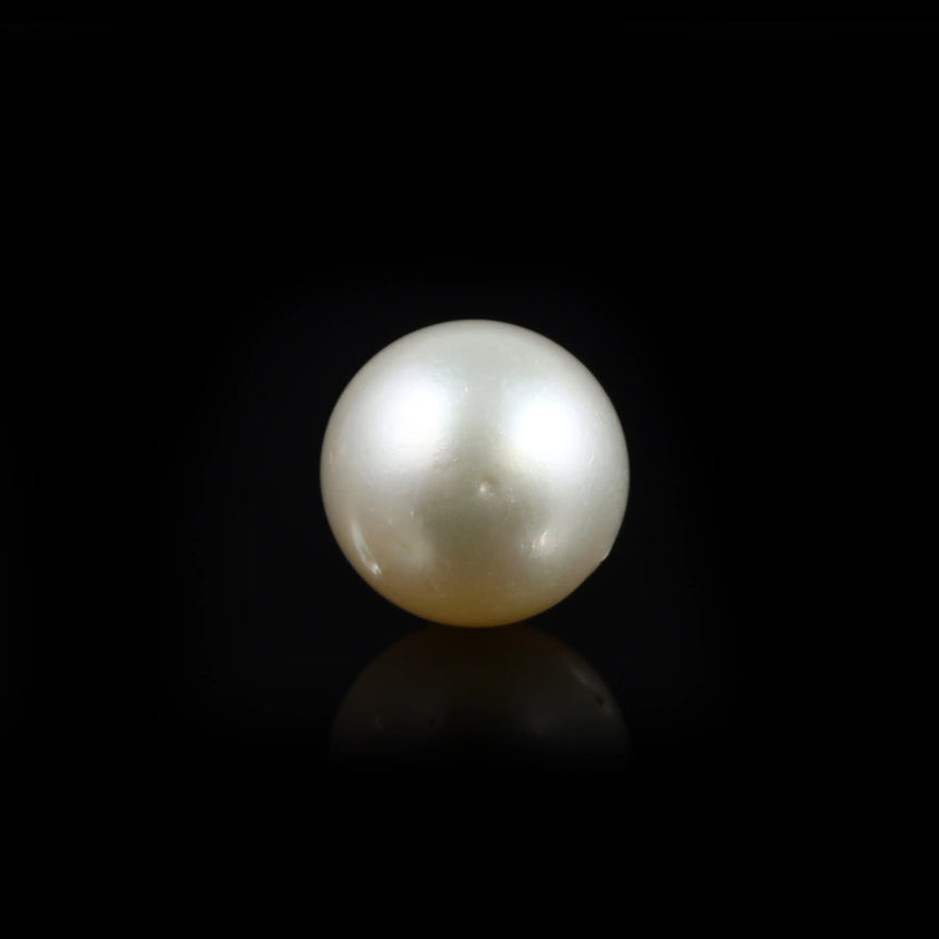 Pearl - 10.85 Carat