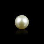 Pearl (Moti) - 11.3 Carat - Pramogh