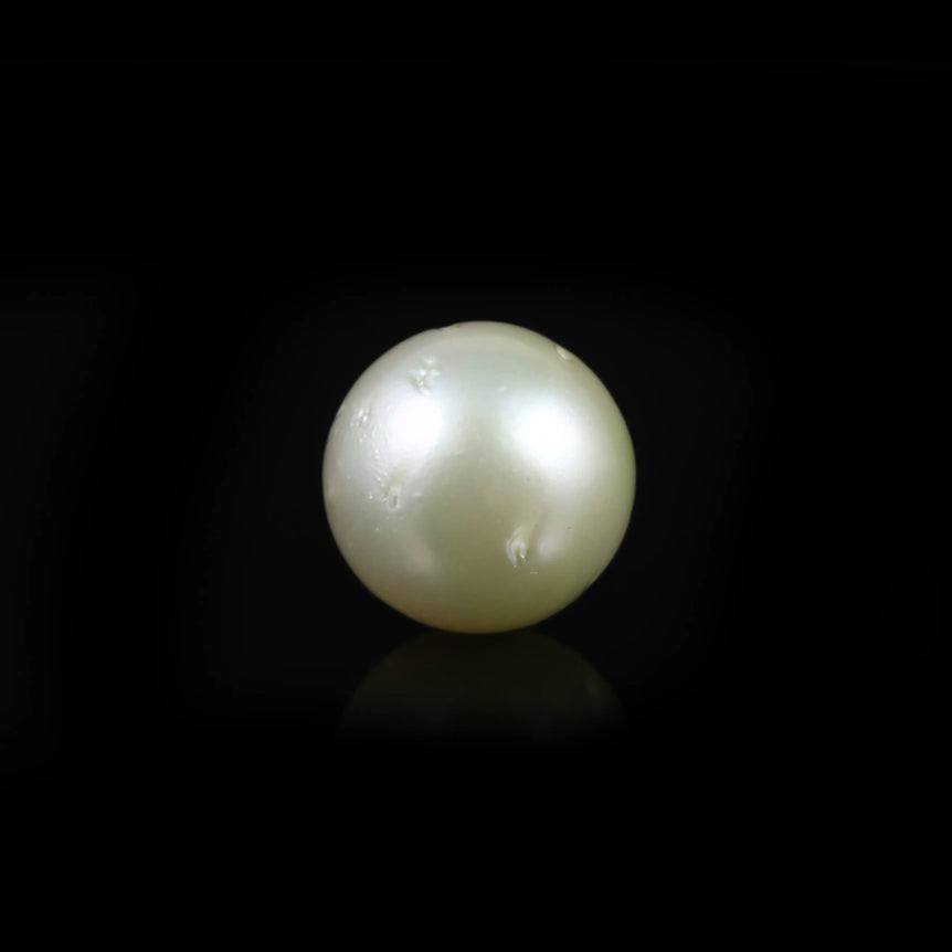 Pearl - 13.6 Carat