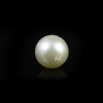 Pearl - 13.6 Carat
