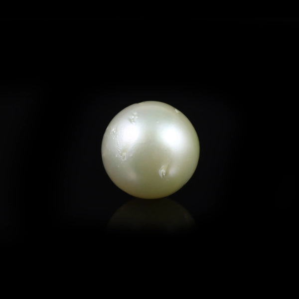Pearl - 13.6 Carat