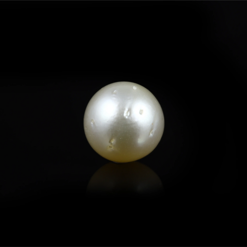 Pearl - 9.8 Carat