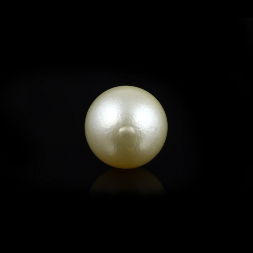 Pearl - 14.65 Carat