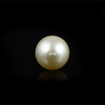 Pearl - 14.65 Carat