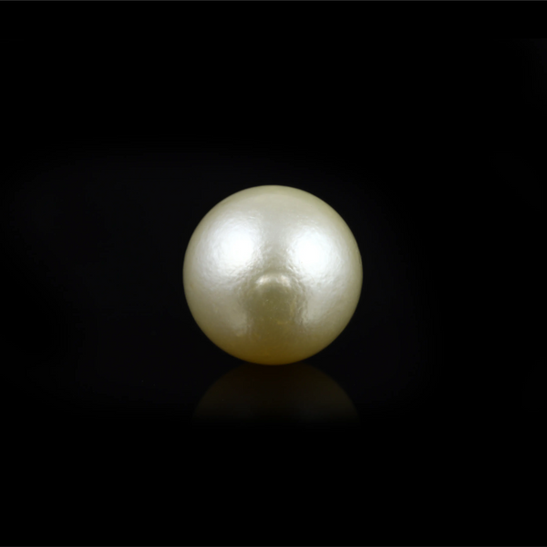 Pearl - 14.65 Carat