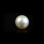 Pearl - 12.45 Carat