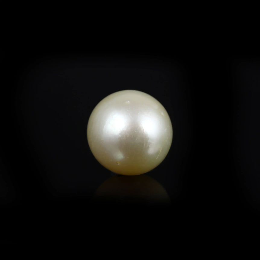 Pearl - 16.65 Carat