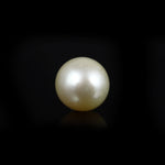 Pearl - 16.65 Carat