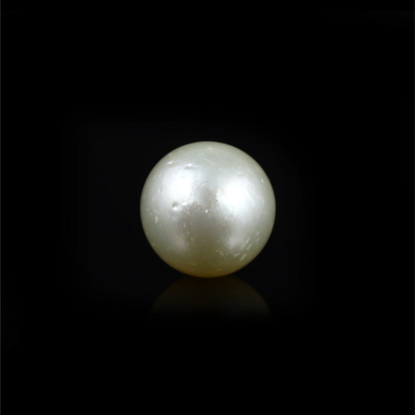 Pearl - 14.45 Carat