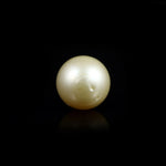 Pearl - 9.1 Carat