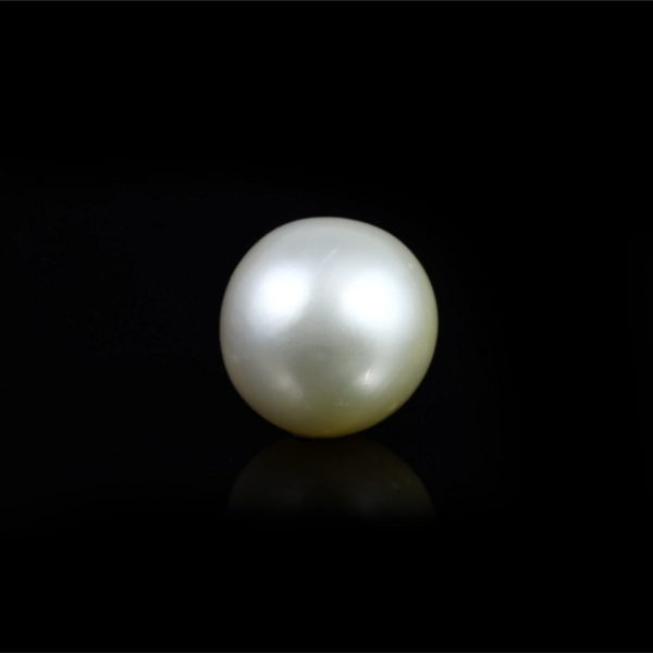 Pearl (Moti) - 14.65 Carat - Pramogh