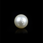 Pearl - 14.65 Carat