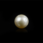 Pearl - 12.6 Carat