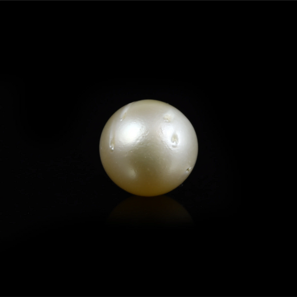 Pearl - 12.6 Carat