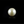 Load image into Gallery viewer, Pearl (Moti) - 13.75 Carat - Pramogh
