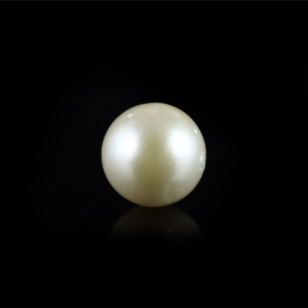 Pearl (Moti) - 13.75 Carat - Pramogh
