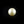 Load image into Gallery viewer, Pearl (Moti) - 11.7 Carat - Pramogh
