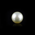 Pearl - 13.05 Carat