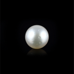 Pearl (Moti) - 10.55 Carat - Pramogh