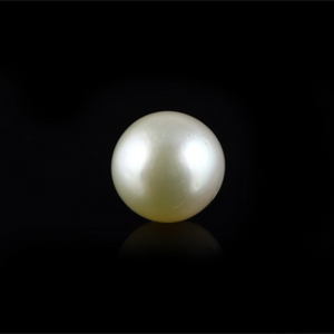 Pearl (Moti) - 12.45 Carat - Pramogh
