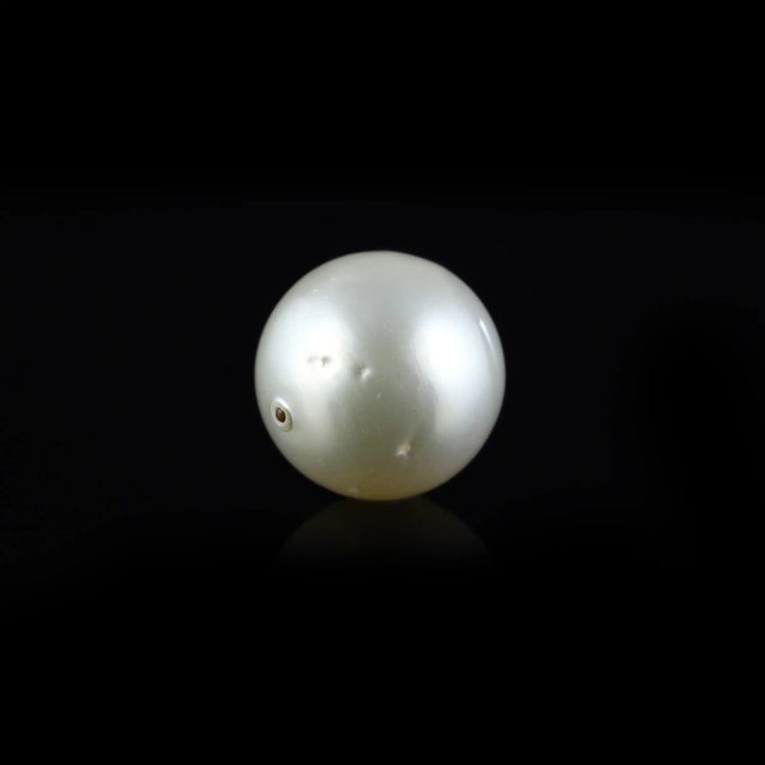 Pearl - 15.55 Carat